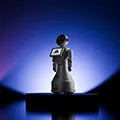 Mini Ada