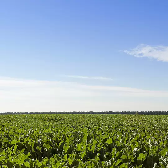 Agriculture Robot AS-PNCR-2