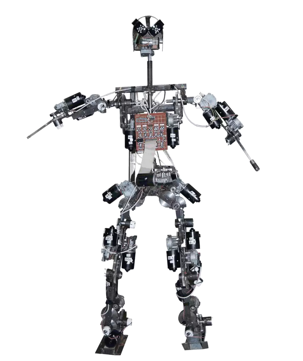 What Does AKINCI-P Do?