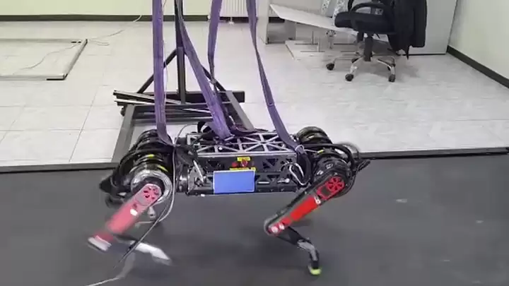 quadruped robot arat project videos