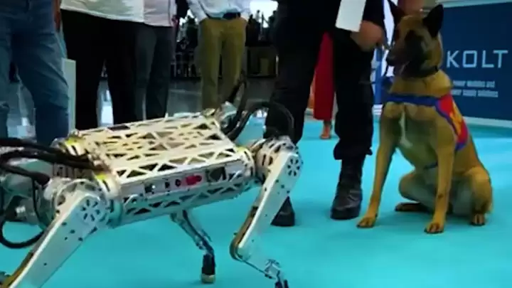 quadruped robot arat project videos