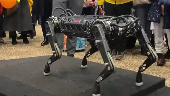 quadruped robot arat project videos