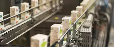 Food ProductIon FacIlItIes