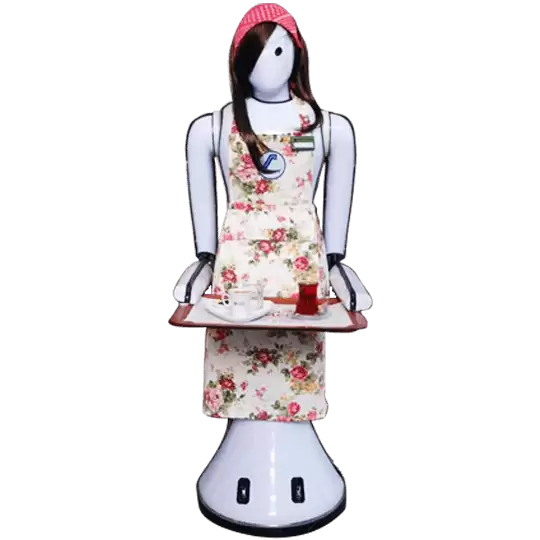 WHAT DOES ADA 2 DO ?