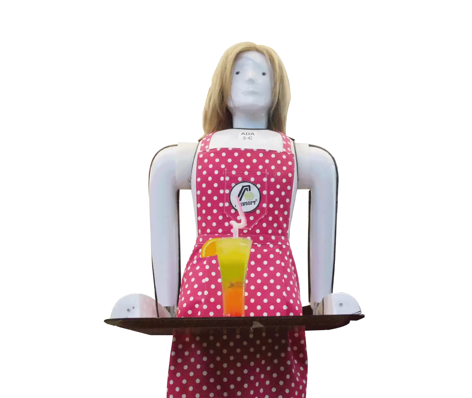 WHAT DOES ADA G3 DO ?