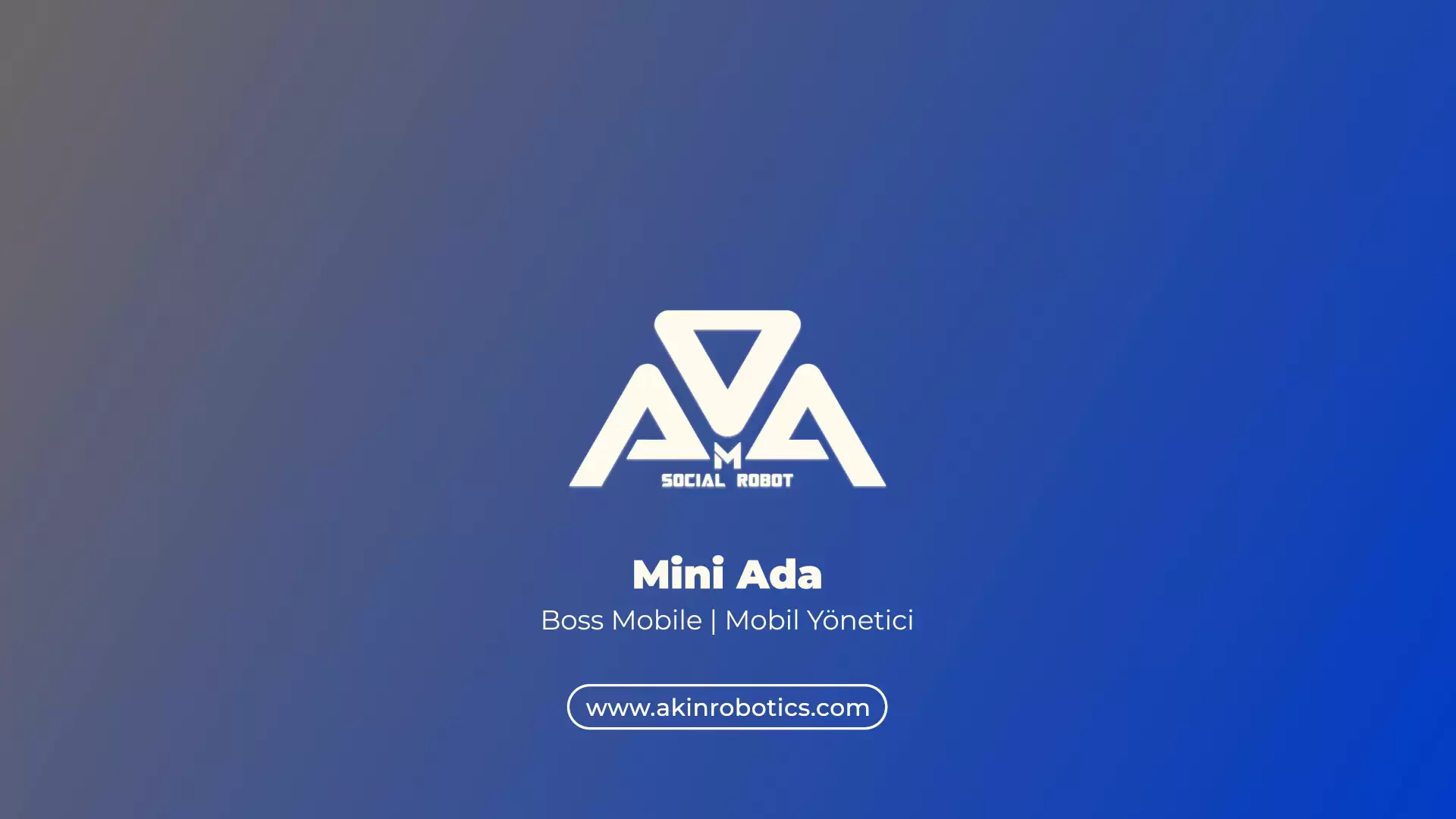 Social Robot Mini Ada Videos