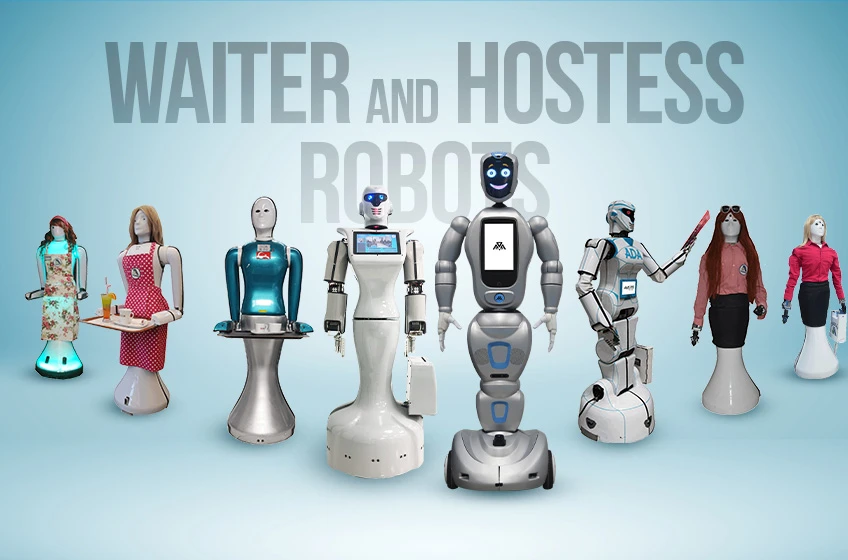 Social robot ADA versions