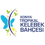 Kelebek Bahcesi