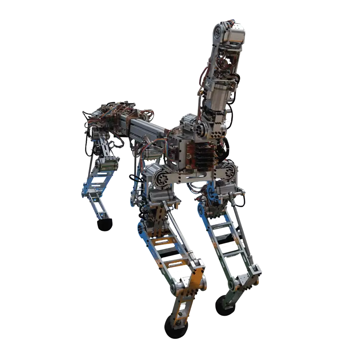 Dört Ayaklı Robot ARAT 1 Projesi