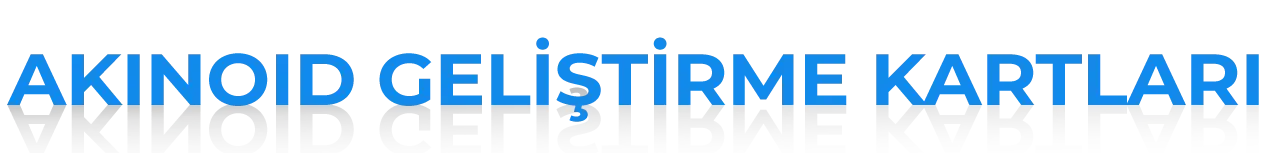 Geliştirme Kartları