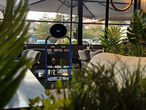 Servis Robotu Galeri 6