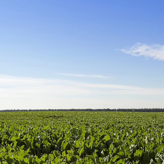 Tarım Robotu AS-PNCR-2